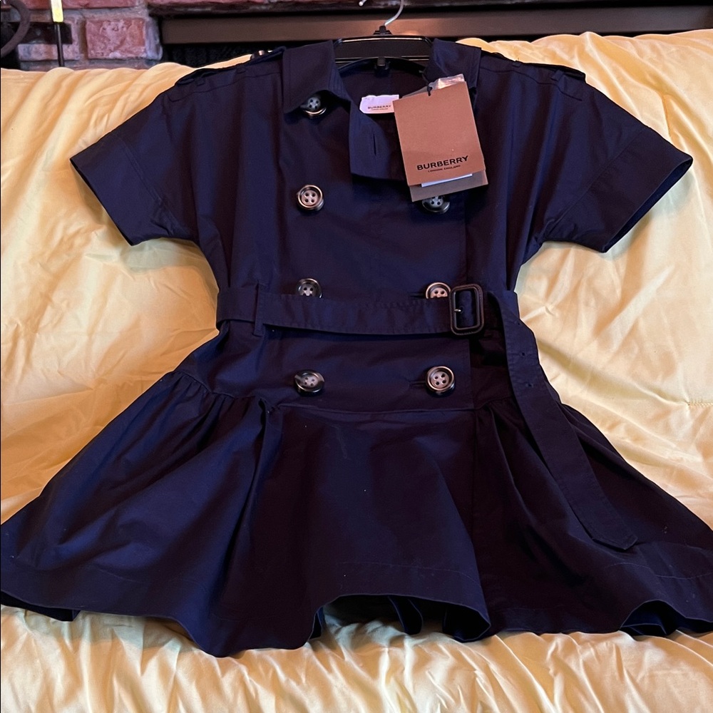 Burberry Midnight Blue Flared Dress